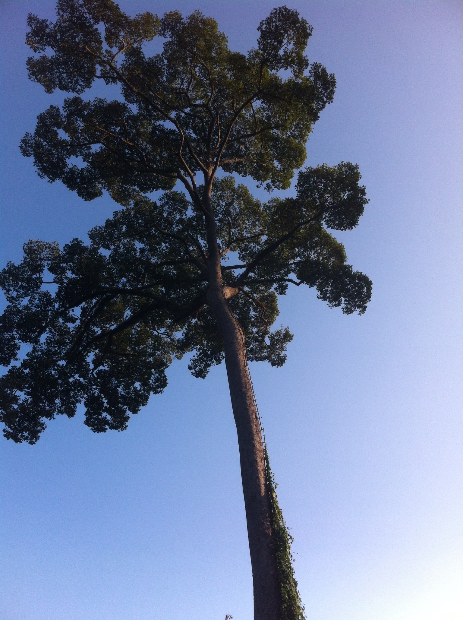 20130203-124648.jpg