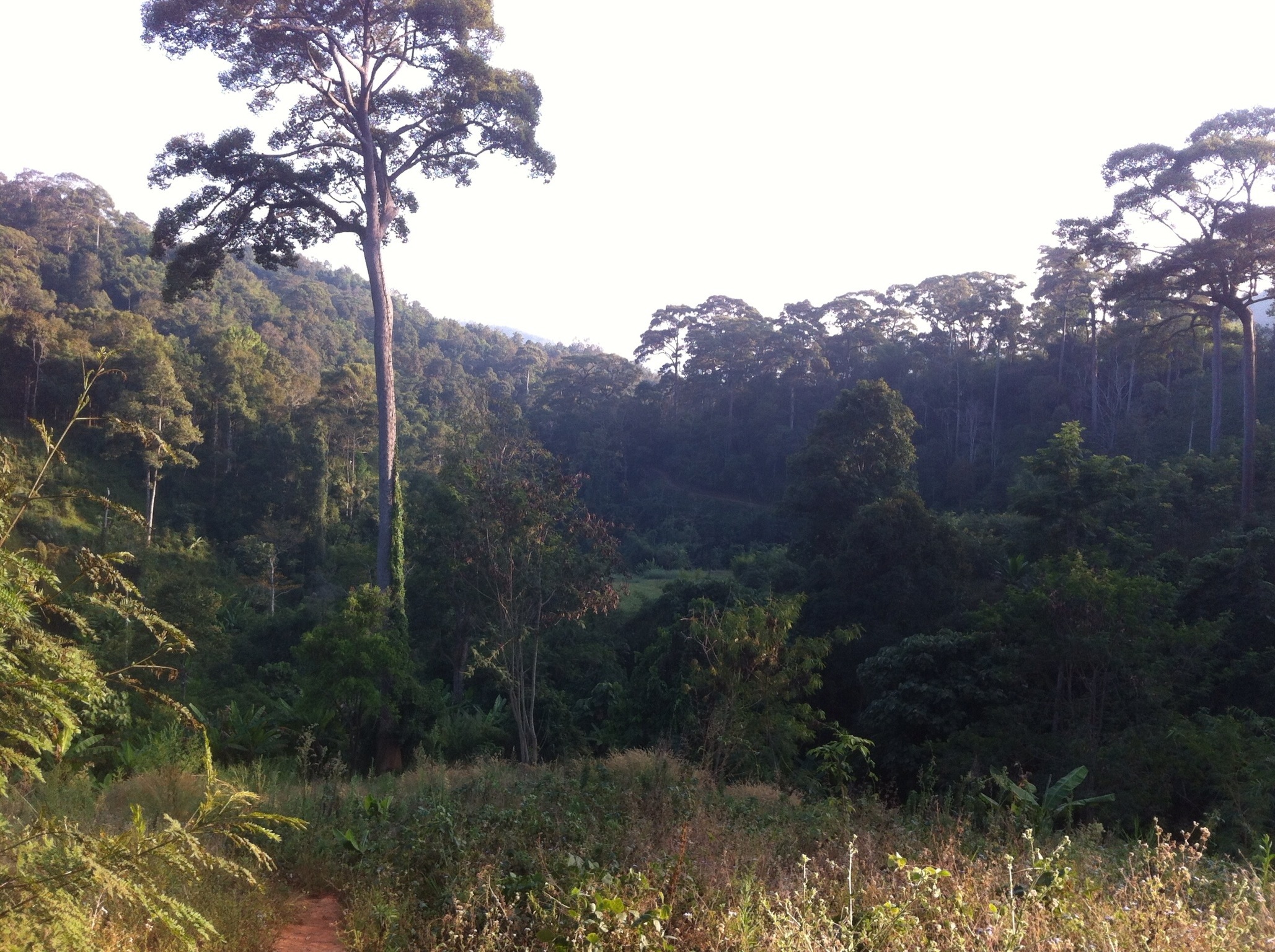 20130203-125331.jpg