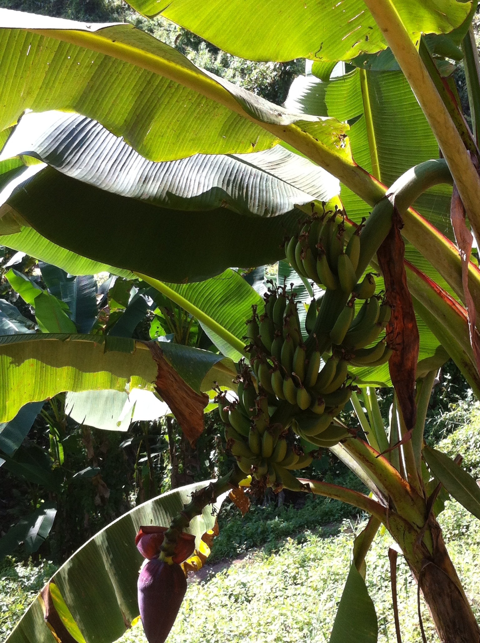 20130203-130458.jpg