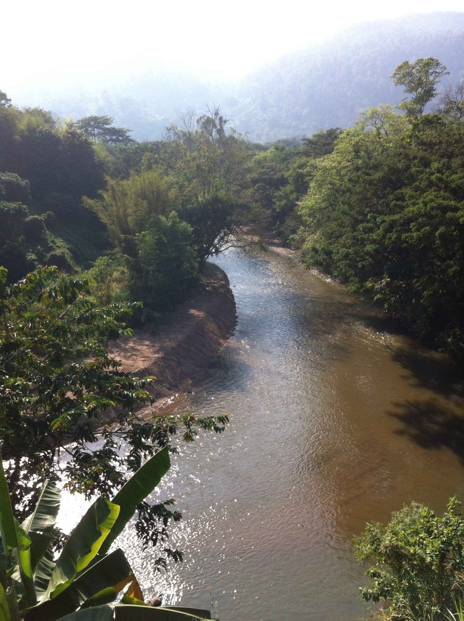 20130203-130735.jpg