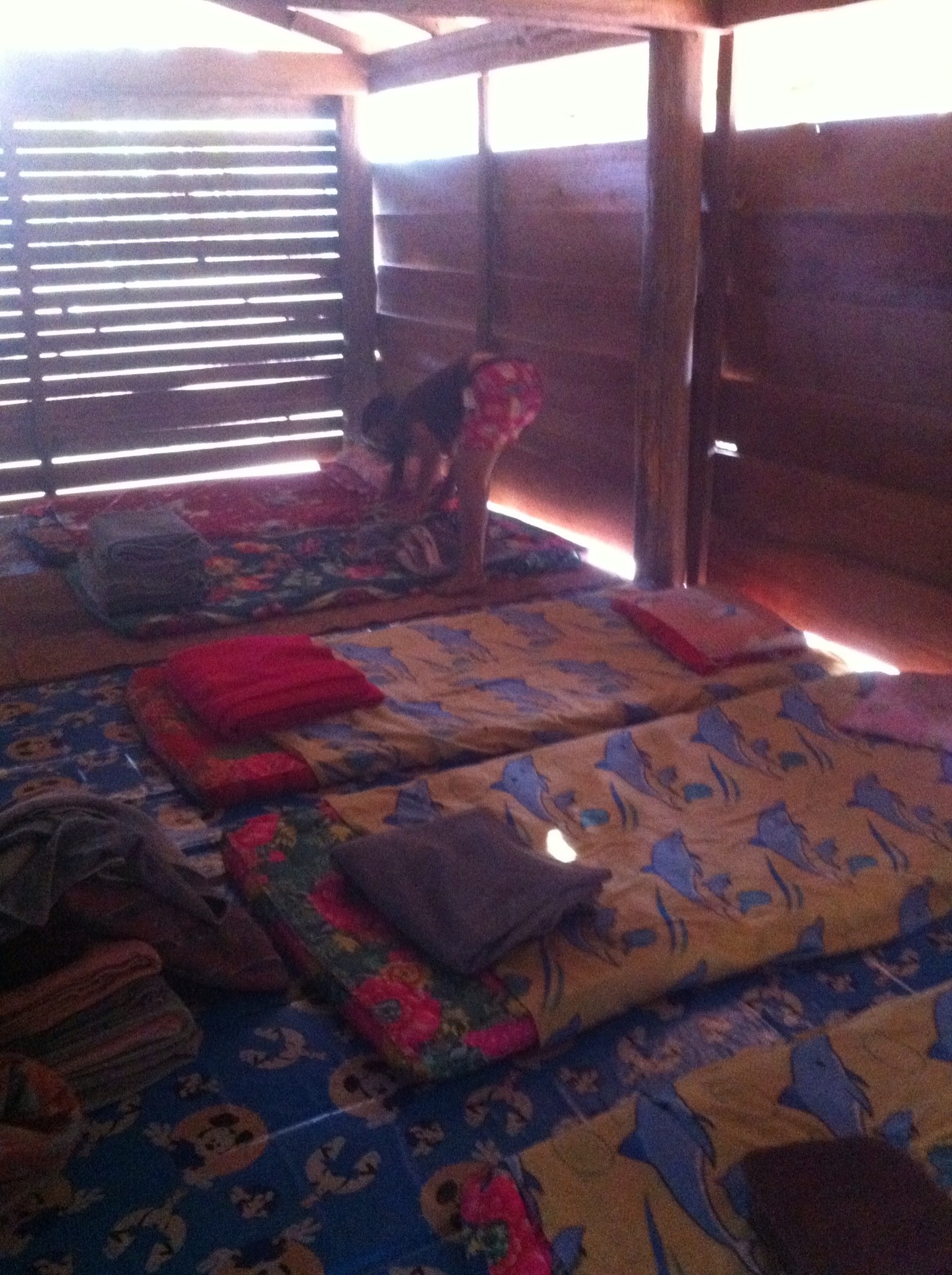 20130203-131336.jpg