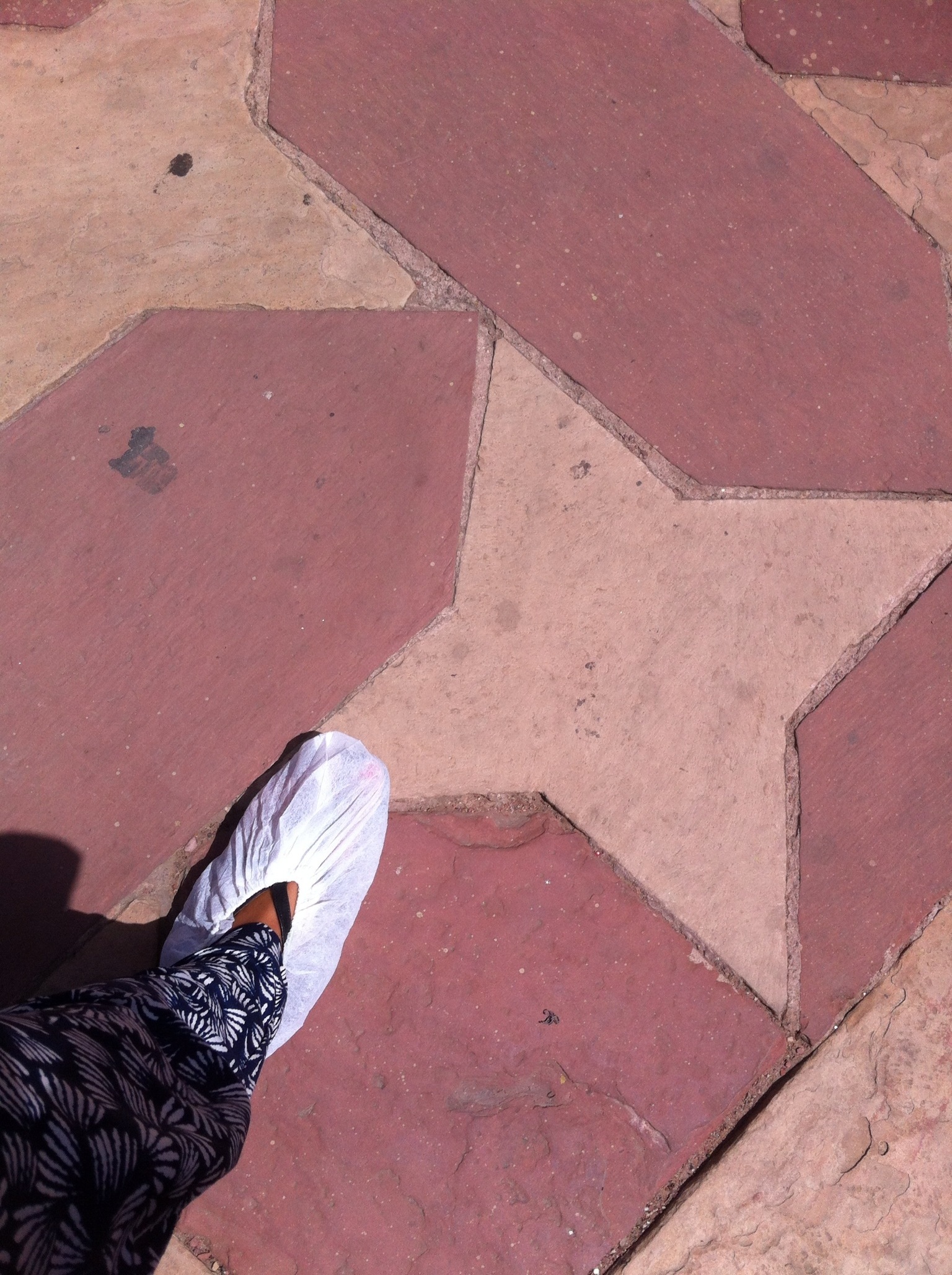 20130409-135034.jpg