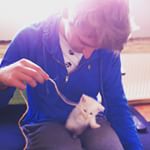 Be still my beating heart ❤️ #kitten #love #pet #6weeksold #france #iphoneonly #kittensofinstagram #catlady